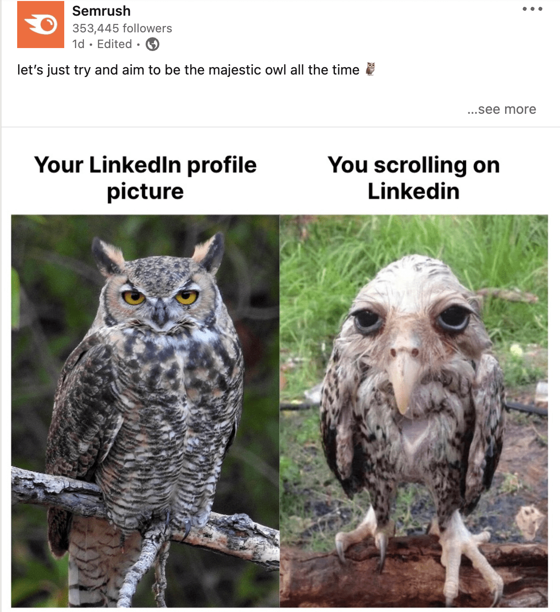 Meme marketing by Semrush on LinkedIn
